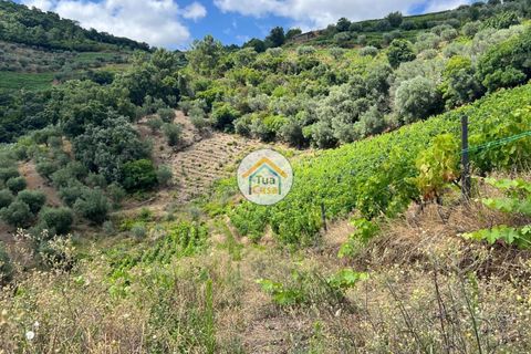 Helårsgrund i Vila Real, Vila Real, Vila Real - € 50.000 | Ref: 10TC3563 - foto 12