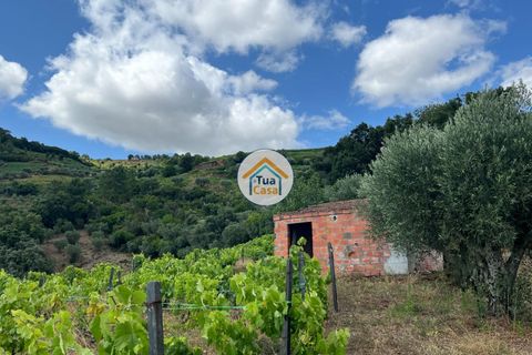 Helårsgrund i Vila Real, Vila Real, Vila Real - € 50.000 | Ref: 10TC3563 - foto 15