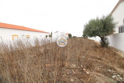 Terra a Castro Verde, Beja, Castro Verde - € 80.000 | Ref: 3TC3368 - foto 2
