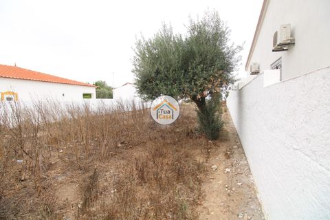 Terra a Castro Verde, Beja, Castro Verde - € 80.000 | Ref: 3TC3368 - foto 3