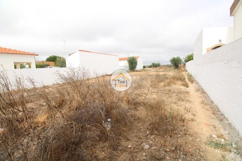 Terra a Castro Verde, Beja, Castro Verde - € 80.000 | Ref: 3TC3368 - foto 5