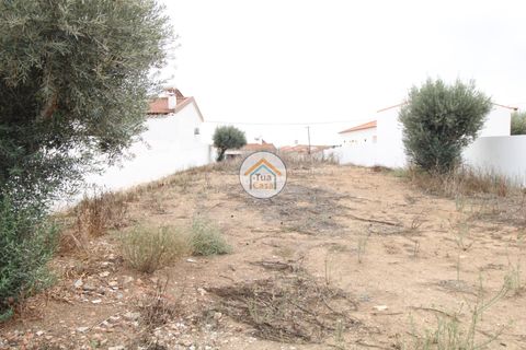Terra a Castro Verde, Beja, Castro Verde - € 80.000 | Ref: 3TC3368 - foto 11