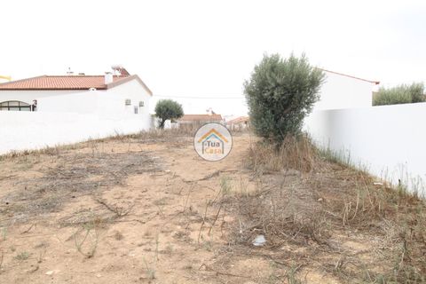 Terra a Castro Verde, Beja, Castro Verde - € 80.000 | Ref: 3TC3368 - foto 12
