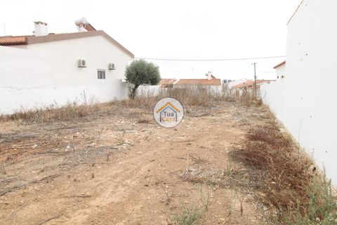 Terra a Castro Verde, Beja, Castro Verde - € 80.000 | Ref: 3TC3368 - foto 14