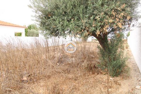 Terra a Castro Verde, Beja, Castro Verde - € 80.000 | Ref: 3TC3368 - foto 15