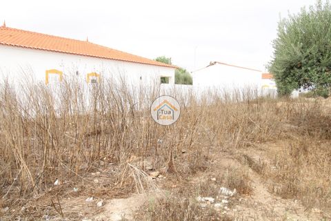Terra a Castro Verde, Beja, Castro Verde - € 80.000 | Ref: 3TC3368 - foto 16