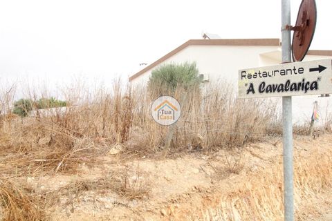 Terra a Castro Verde, Beja, Castro Verde - € 80.000 | Ref: 3TC3368 - foto 17