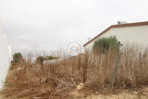 Terra a Castro Verde, Beja, Castro Verde - € 80.000 | Ref: 3TC3368 - foto 18