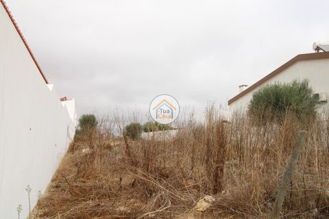 Terra a Castro Verde, Beja, Castro Verde - € 80.000 | Ref: 3TC3368 - foto 19