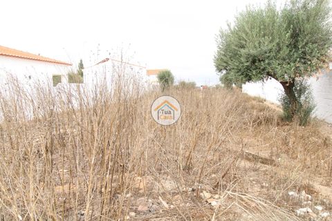 Terra a Castro Verde, Beja, Castro Verde - € 80.000 | Ref: 3TC3368 - foto 20