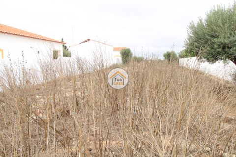 Terra a Castro Verde, Beja, Castro Verde - € 80.000 | Ref: 3TC3368 - foto 21