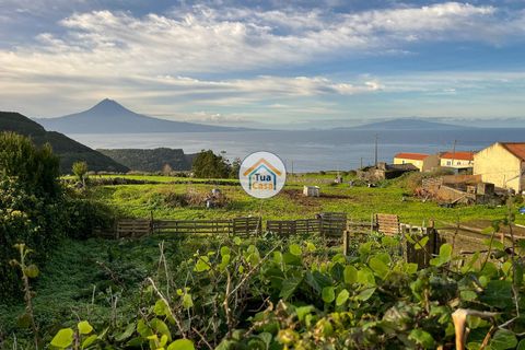 Helårsgrund i Velas, Sao Jorge, Velas - € 79.000 | Ref: 1TC3536 - foto 14