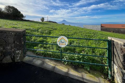 Helårsgrund i Velas, Sao Jorge, Velas - € 79.000 | Ref: 1TC3536 - foto 20
