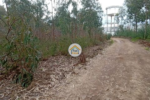 Helårsgrund i Agueda, Aveiro, Agueda - € 130.000 | Ref: 2TC2827 - foto 1
