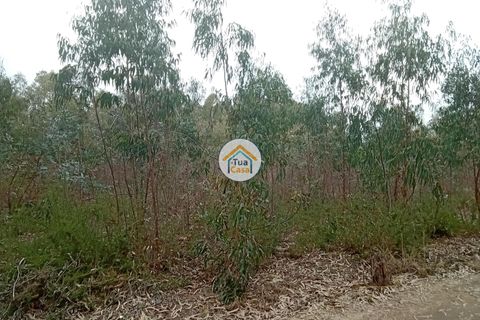 Helårsgrund i Agueda, Aveiro, Agueda - € 130.000 | Ref: 2TC2827 - foto 2