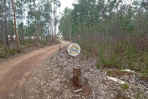Helårsgrund i Agueda, Aveiro, Agueda - € 130.000 | Ref: 2TC2827 - foto 3