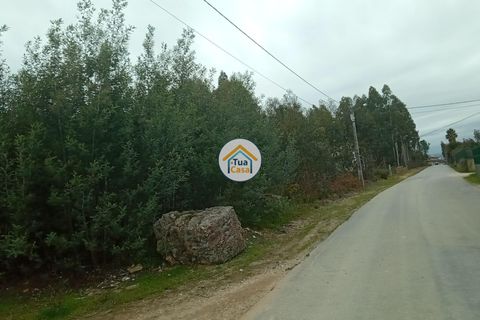 Helårsgrund i Agueda, Aveiro, Agueda - € 130.000 | Ref: 2TC2827 - foto 5