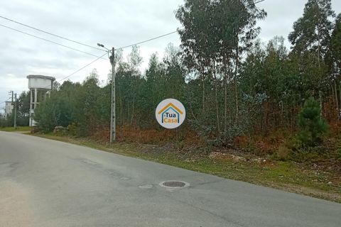 Helårsgrund i Agueda, Aveiro, Agueda - € 130.000 | Ref: 2TC2827 - foto 6