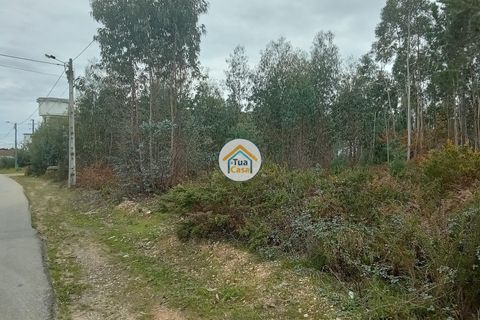 Helårsgrund i Agueda, Aveiro, Agueda - € 130.000 | Ref: 2TC2827 - foto 7