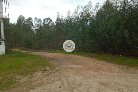 Helårsgrund i Agueda, Aveiro, Agueda - € 130.000 | Ref: 2TC2827 - foto 8