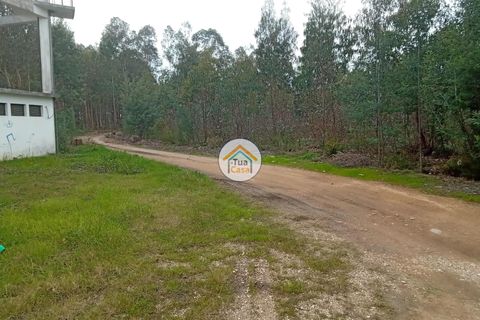 Helårsgrund i Agueda, Aveiro, Agueda - € 130.000 | Ref: 2TC2827 - foto 9