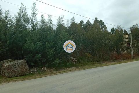 Helårsgrund i Agueda, Aveiro, Agueda - € 130.000 | Ref: 2TC2827 - foto 11
