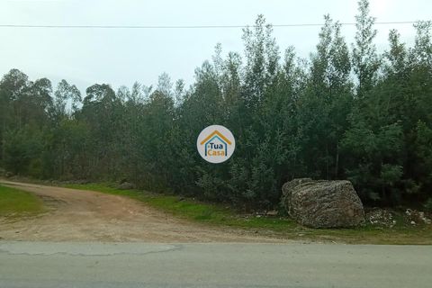 Helårsgrund i Agueda, Aveiro, Agueda - € 130.000 | Ref: 2TC2827 - foto 12