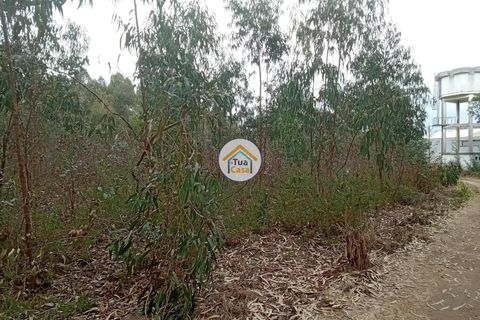 Helårsgrund i Agueda, Aveiro, Agueda - € 130.000 | Ref: 2TC2827 - foto 14