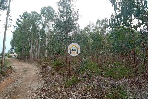 Helårsgrund i Agueda, Aveiro, Agueda - € 130.000 | Ref: 2TC2827 - foto 15