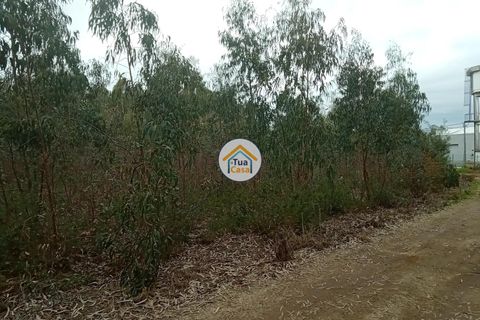 Helårsgrund i Agueda, Aveiro, Agueda - € 130.000 | Ref: 2TC2827 - foto 16