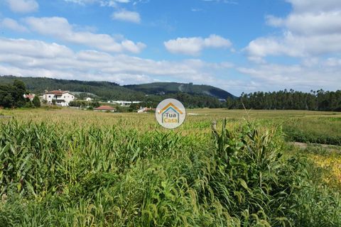 Helårsgrund i Barcelos, Braga, Barcelos - € 84.900 | Ref: 8TC3306 - foto 1