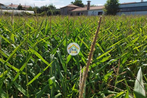Helårsgrund i Barcelos, Braga, Barcelos - € 84.900 | Ref: 8TC3306 - foto 7