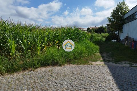 Helårsgrund i Barcelos, Braga, Barcelos - € 84.900 | Ref: 8TC3306 - foto 18