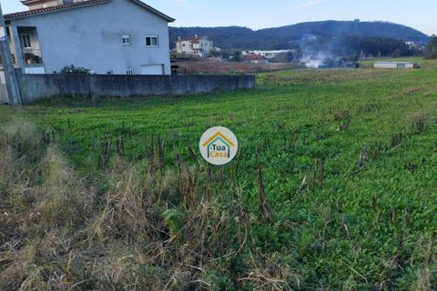 Helårsgrund i Barcelos, Braga, Barcelos - € 84.900 | Ref: 8TC3306 - foto 23