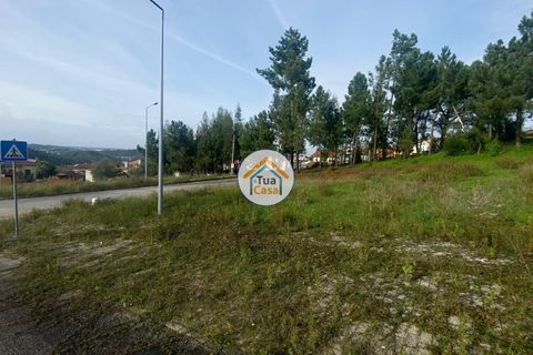 Helårsgrund i Coimbra, Coimbra, Coimbra - € 115.000 | Ref: 4TC2712 - foto 5