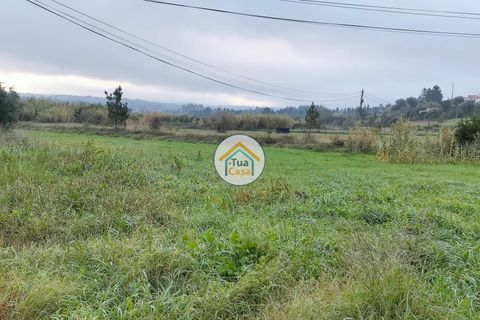 Helårsgrund i Anadia, Aveiro, Anadia - € 97.500 | Ref: 4TC2926 - foto 1