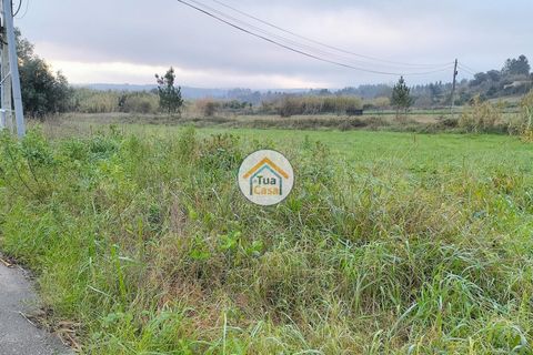 Helårsgrund i Anadia, Aveiro, Anadia - € 97.500 | Ref: 4TC2926 - foto 2