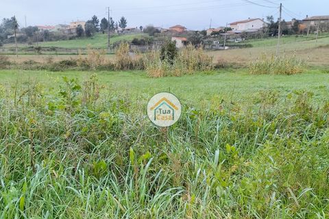 Helårsgrund i Anadia, Aveiro, Anadia - € 97.500 | Ref: 4TC2926 - foto 3