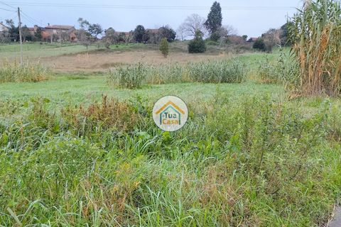 Helårsgrund i Anadia, Aveiro, Anadia - € 97.500 | Ref: 4TC2926 - foto 4