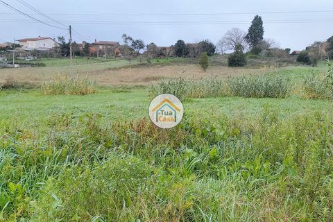 Helårsgrund i Anadia, Aveiro, Anadia - € 97.500 | Ref: 4TC2926 - foto 5