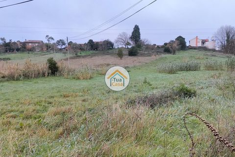 Helårsgrund i Anadia, Aveiro, Anadia - € 97.500 | Ref: 4TC2926 - foto 6