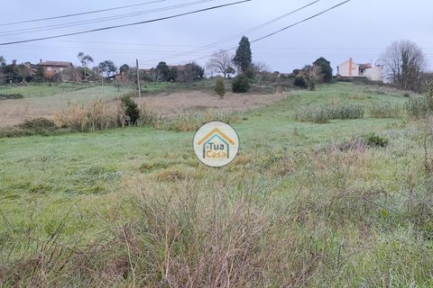 Helårsgrund i Anadia, Aveiro, Anadia - € 97.500 | Ref: 4TC2926 - foto 7
