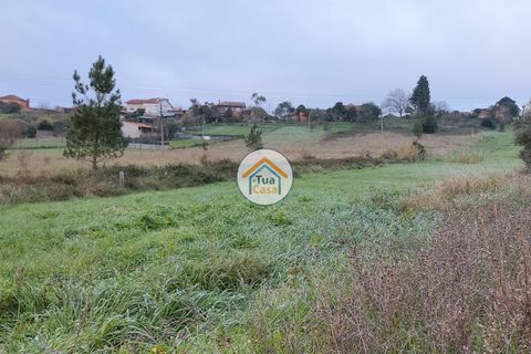 Helårsgrund i Anadia, Aveiro, Anadia - € 97.500 | Ref: 4TC2926 - foto 8