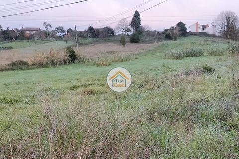 Helårsgrund i Anadia, Aveiro, Anadia - € 97.500 | Ref: 4TC2926 - foto 9