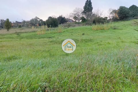 Helårsgrund i Anadia, Aveiro, Anadia - € 97.500 | Ref: 4TC2926 - foto 10