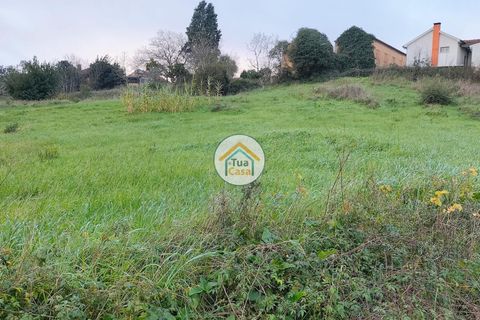 Helårsgrund i Anadia, Aveiro, Anadia - € 97.500 | Ref: 4TC2926 - foto 11