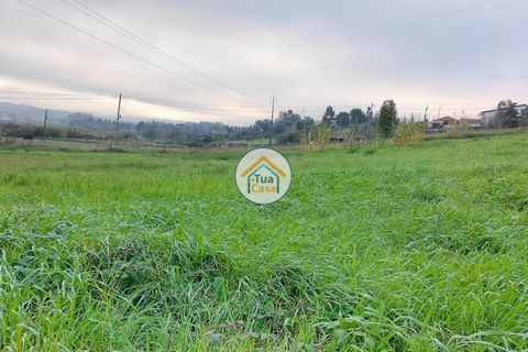Helårsgrund i Anadia, Aveiro, Anadia - € 97.500 | Ref: 4TC2926 - foto 12