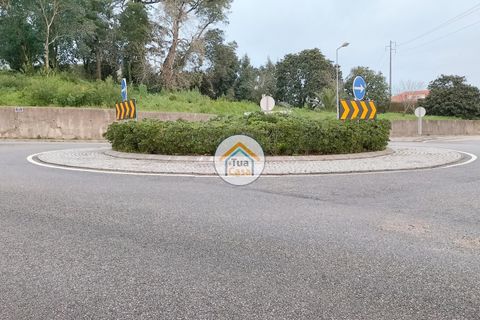 Helårsgrund i Anadia, Aveiro, Anadia - € 97.500 | Ref: 4TC2926 - foto 14