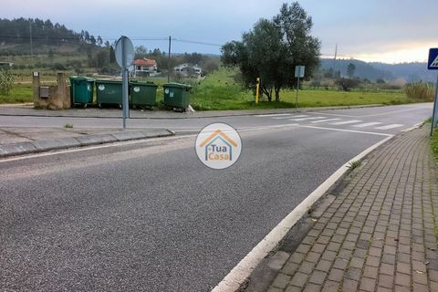 Helårsgrund i Anadia, Aveiro, Anadia - € 97.500 | Ref: 4TC2926 - foto 15