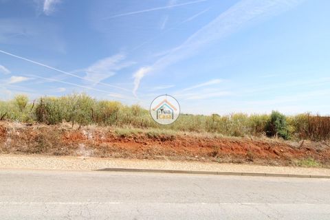 Terra a Redondo, Evora, Redondo - € 1.200.000 | Ref: 15TC3191 - foto 3